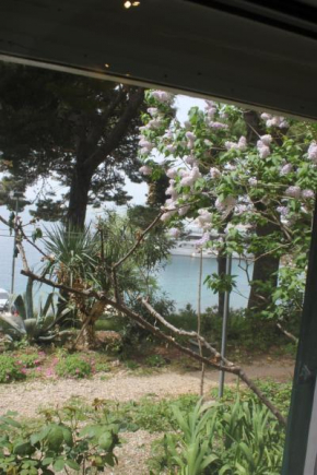 Apartman Tafra, Omiš